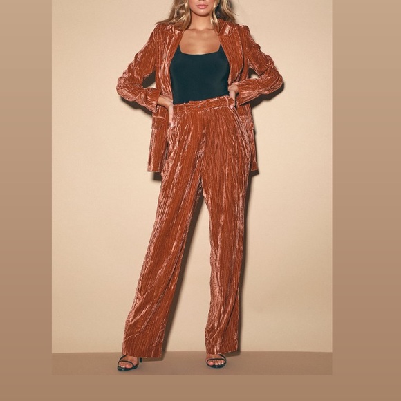 WAYF Velvet High-Waisted pant rust colored Trouser Pant XS - Picture 4 of 16